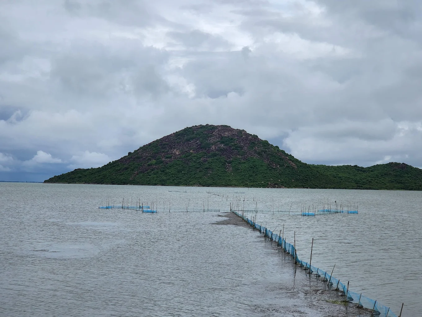 Scenic greenery at Panthanivas Rambha
